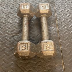 8lbs Steele Dumbbells