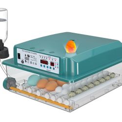 Incubators for Hatching 36 Eggs