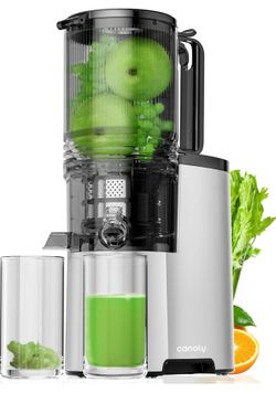 Cold Press Juicer