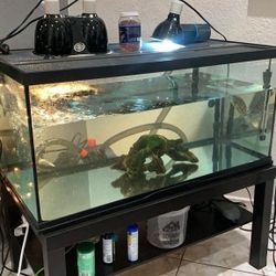 50 Gallons Water Tank With Decorations.