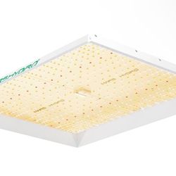 Mars hydro TSW 2000 Grow Light