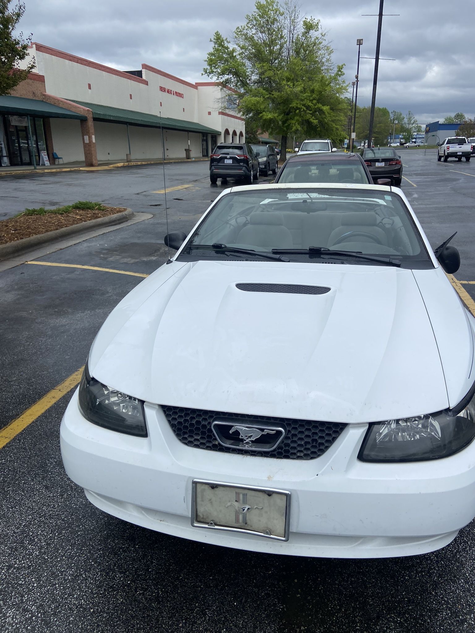 2000 Ford Mustang