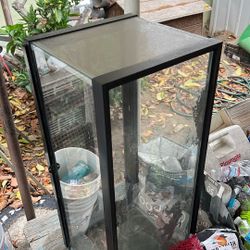 Lizard Tank