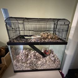 Hamster Cage 