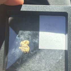 Natural Gold Nugget 