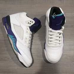 Nike Air Jordan Grape 5 size 9.5