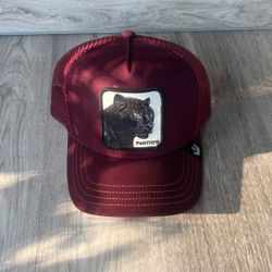Goorin bros adjustable hat Panther