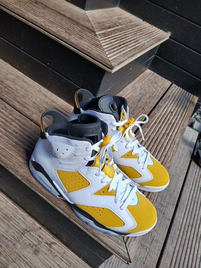 Air Jordan 6 Retro Size 9.5
