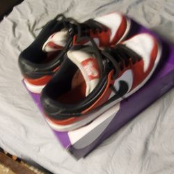 NIKE SB DUNKS LOW