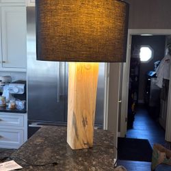 Dr. Joe Emons lamp 