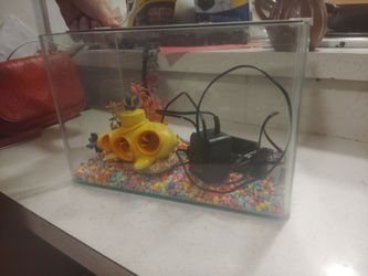 Fish tank