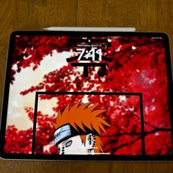 iPad Pro 13” 1TB