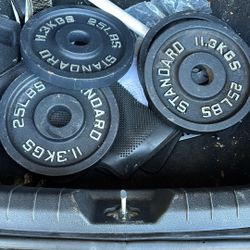 4 Plates, 25lbs Each 