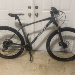 Giant Talon 2 29er Gray Color, Size L, In VGC. 