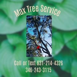 Text For More Information