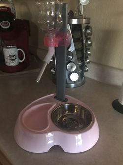 Dog food and water dispenser