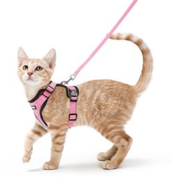 Harness and Leash XS