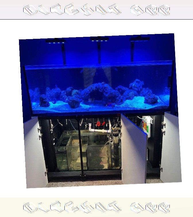 Massive Aquarium Tank - Wide & Stunning Display sense allow