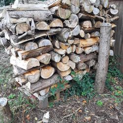 Firewood Seasoned  22" Cut Real Size 200.00 A Cord Uload And Haul 