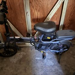 E Bike Namebrand Bear