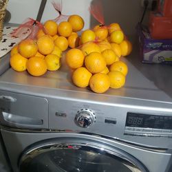 Juicy Oranges  3 Dollor Bags