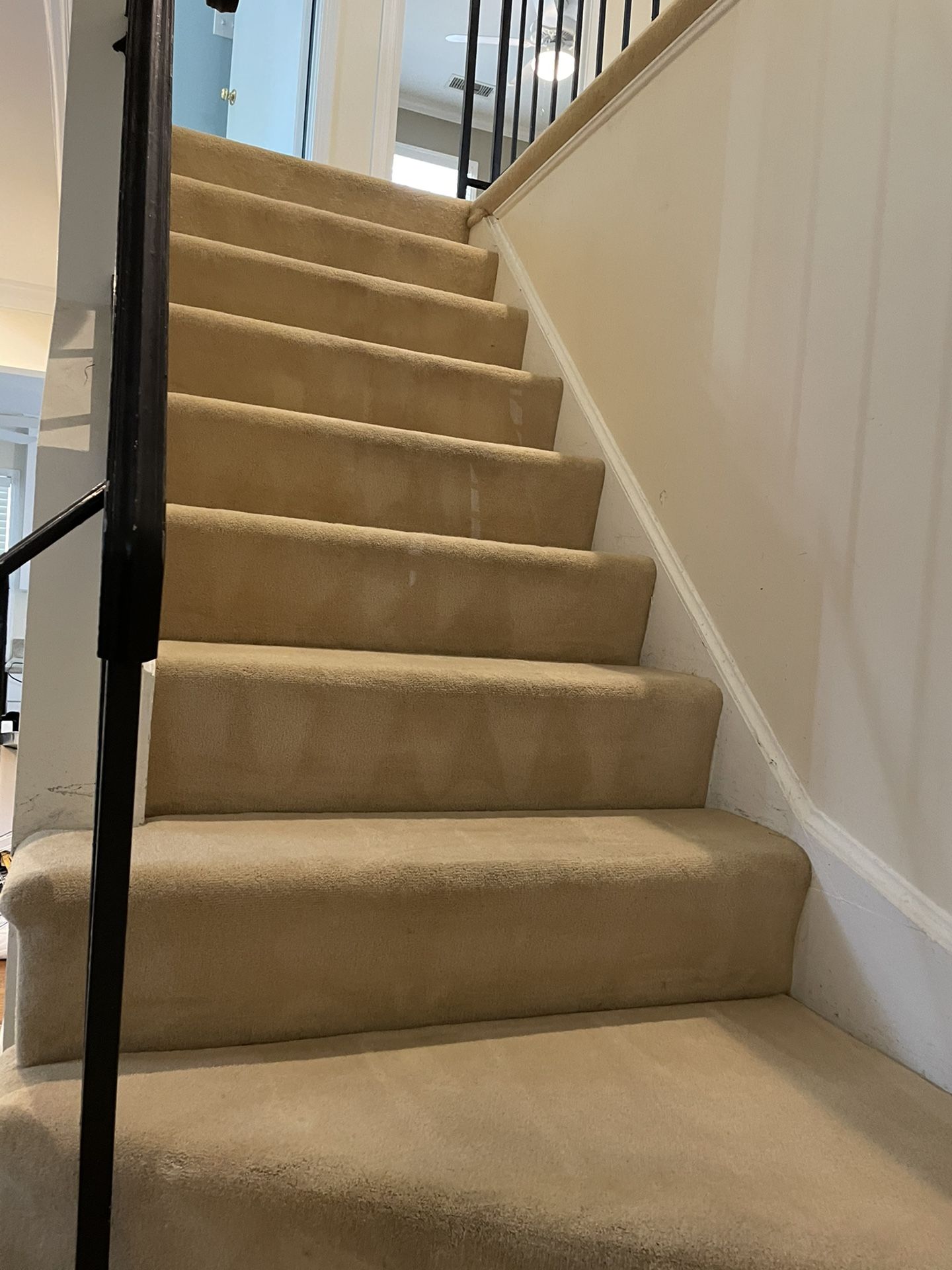 Any Type Of Carpet Cleaning Limpieza Carpeta