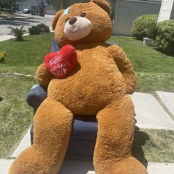 Huge Teddy Bear