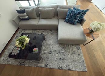 Light Gray Modern Sectional