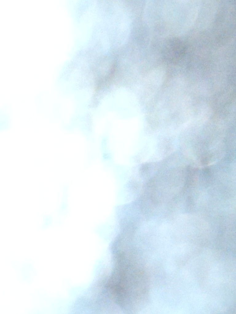 Ten used 250 watt solar panels $500 for the lot