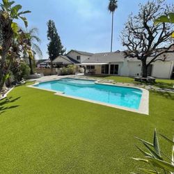 Articial GRASS. Putin Green