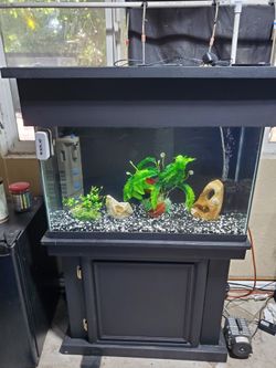 Aquarium Fish Tank