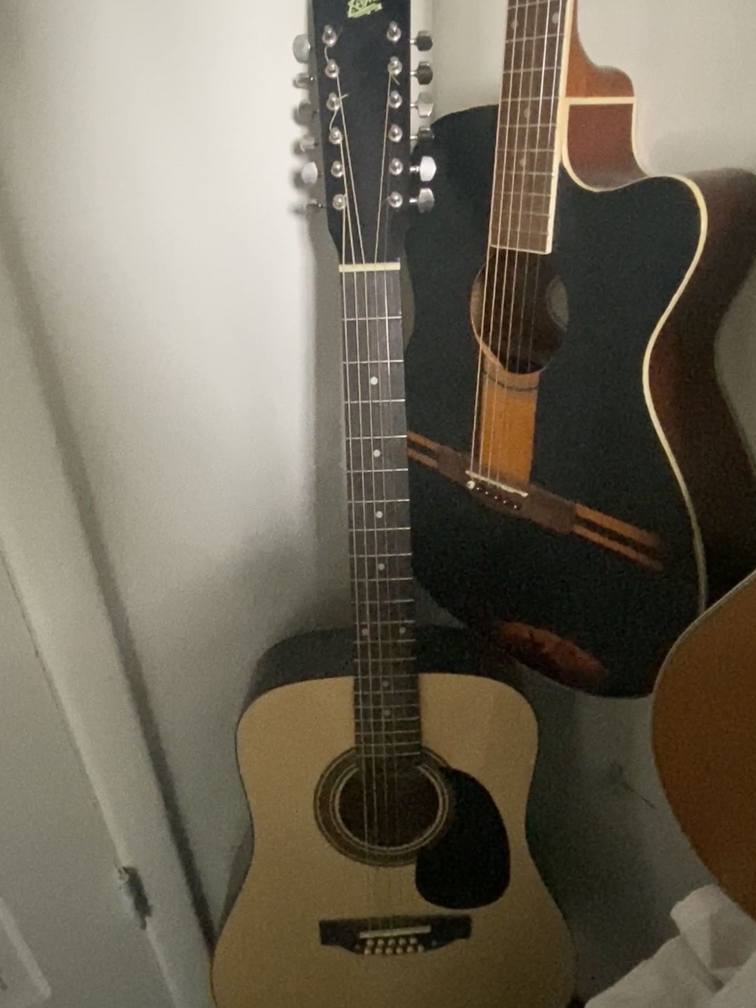 Rogue 12 String Guitar