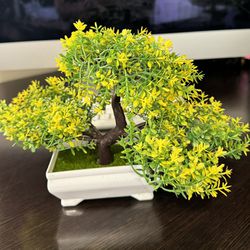 Super Cute Japanese Bonsai Tree (home Decor)