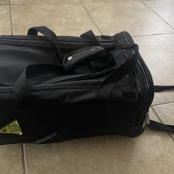 Dog travel bag