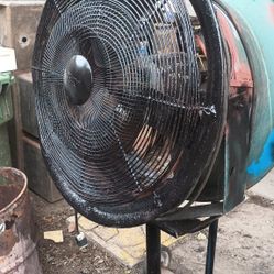 Abanico De Fierro  110