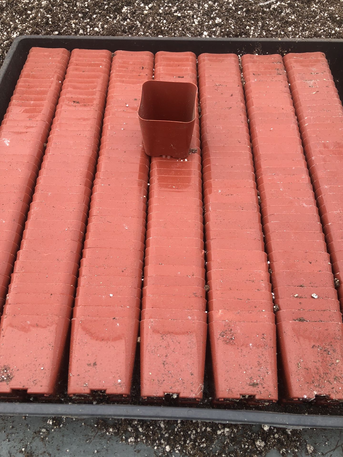 Pots Box