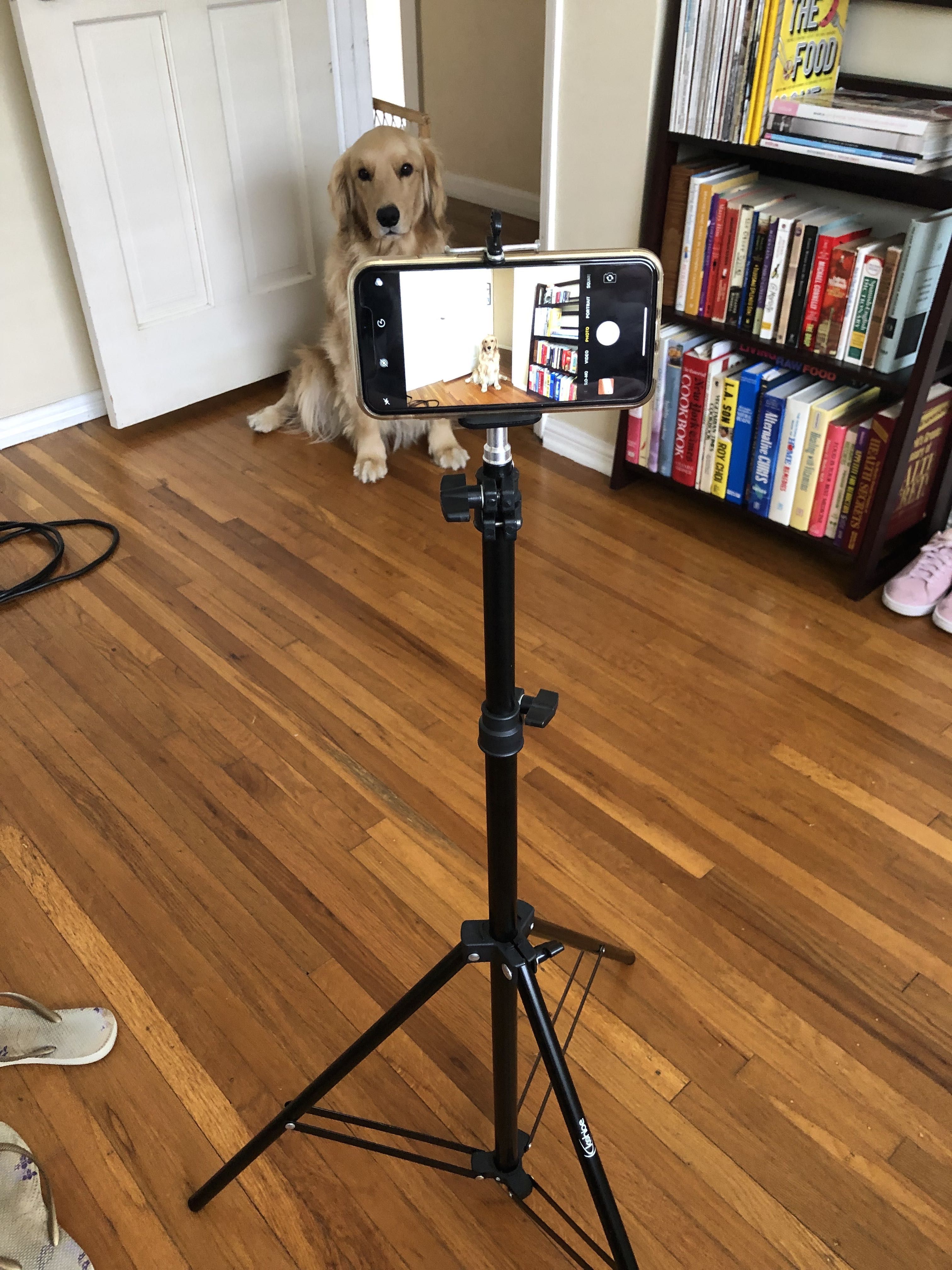 Cell Phone Tripod Stand 6ft Tall! - Adjustable height for self Tape- Holds any Cell Phone - No phone included