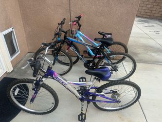 Adult size Bikes