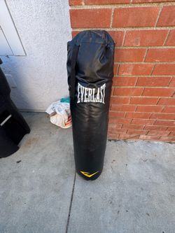Everlast punching bag