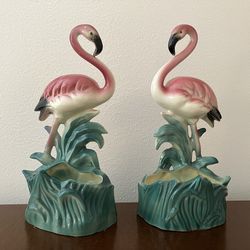 Flamingos