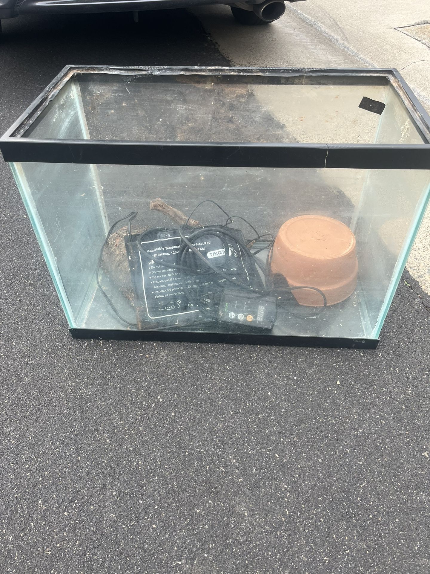 20 Gallon Tank Setup