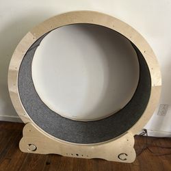 Cat Wheel