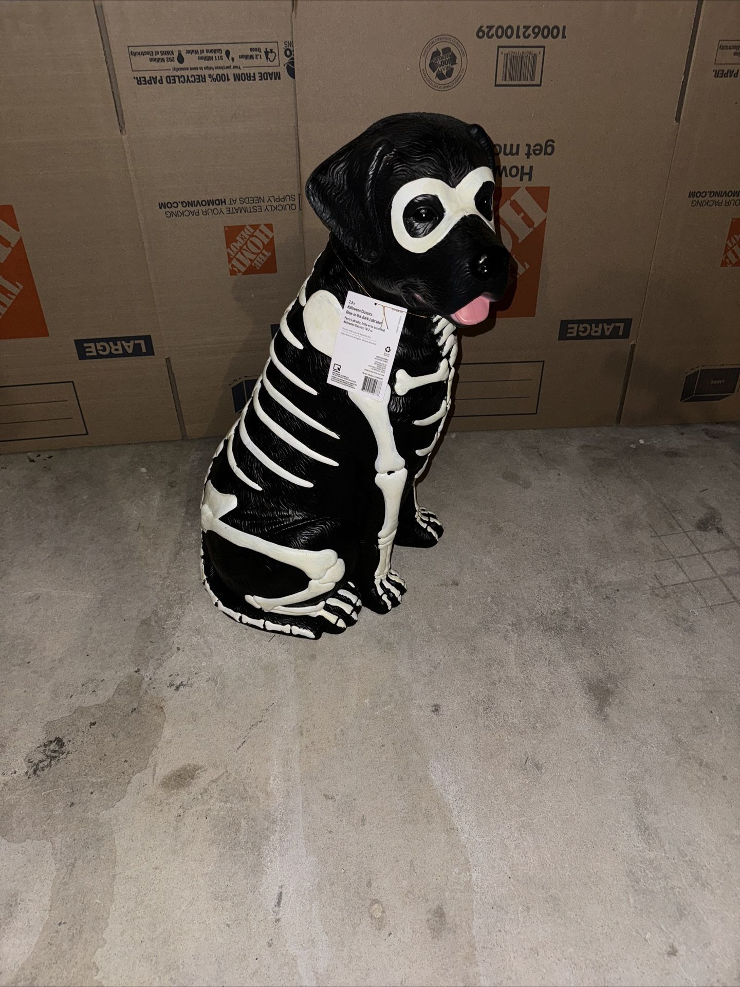 Black Lab Halloween Dog 2024 Labrador 2.5 Ft Glow in the Dark
