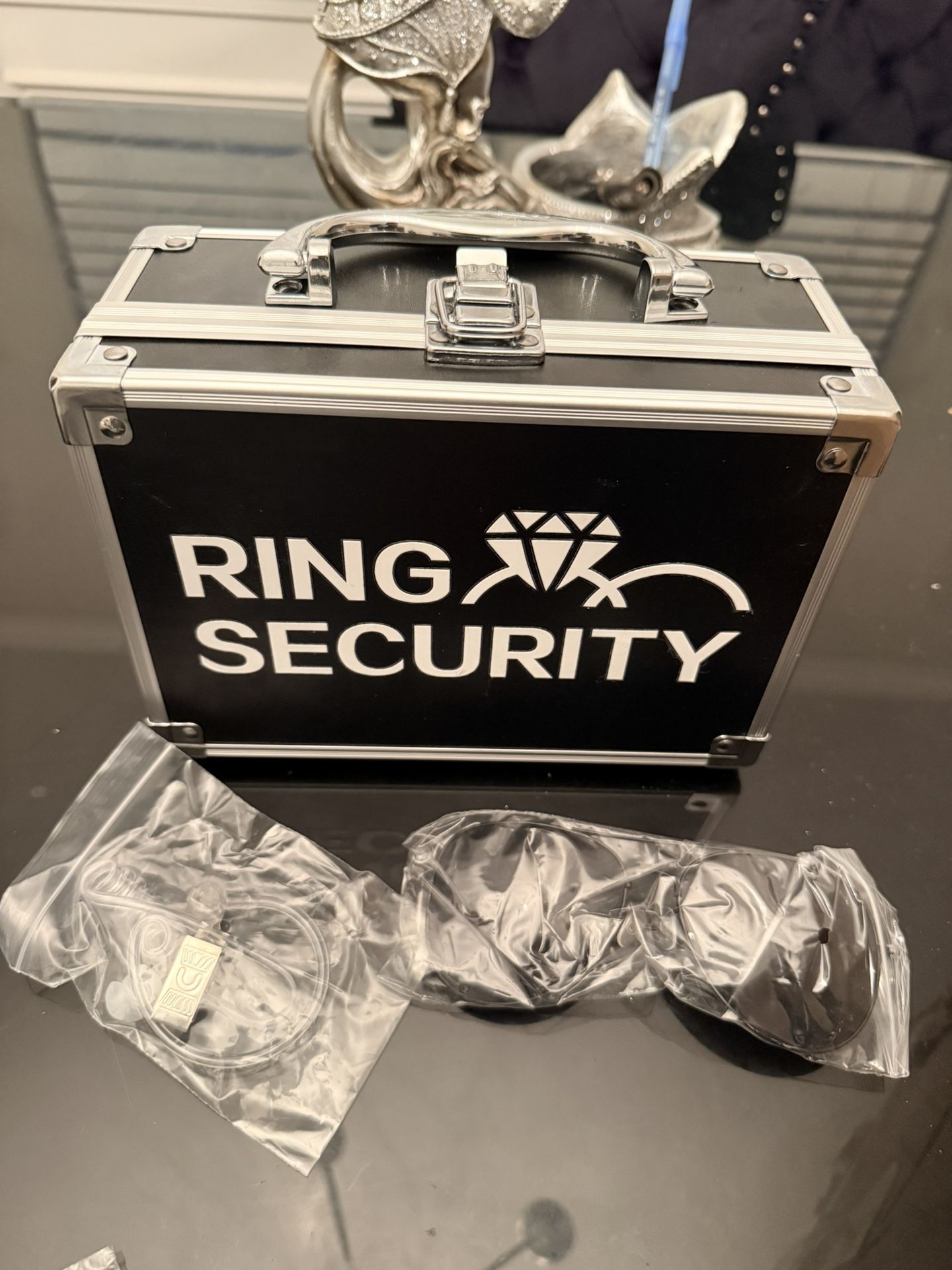 Ring Security Case