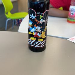 Limited Edition Disney 2022 Water Bottle 