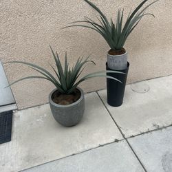 Artificial Plants 