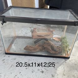 Terrarium Or Fish Tank