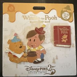 Winnie The Pooh 100 Acres Disney Pin 12/12