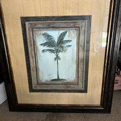 Pictures of Vintage Palm Trees.  
