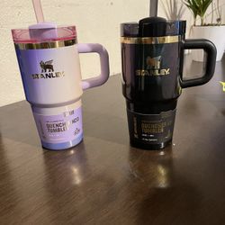 Stanley Wicked 20oz